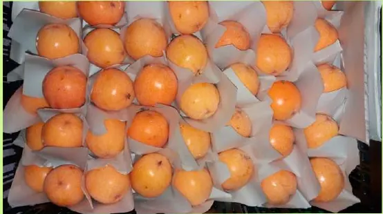 Granadilla con protección individual